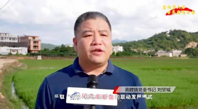 大埔西河富硒大米（富硒大米原产地在哪里）-硒宝网