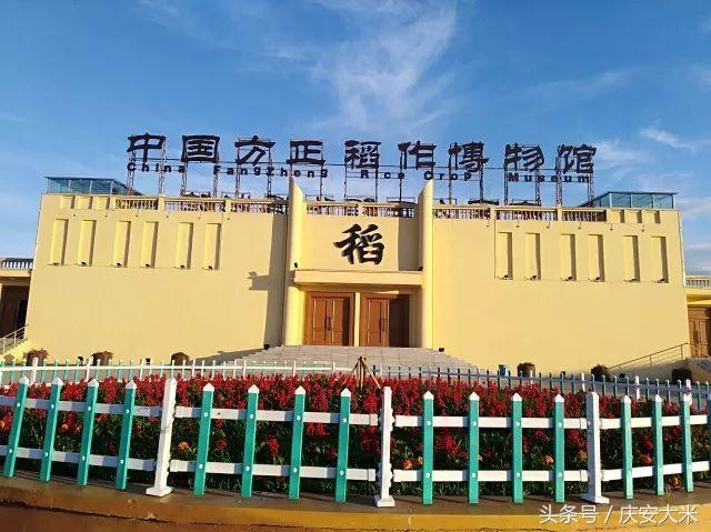 方正富硒营养大米(方正富硒大米的执行标准)-硒宝网