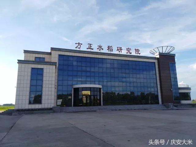 方正富硒营养大米(方正富硒大米的执行标准)-硒宝网