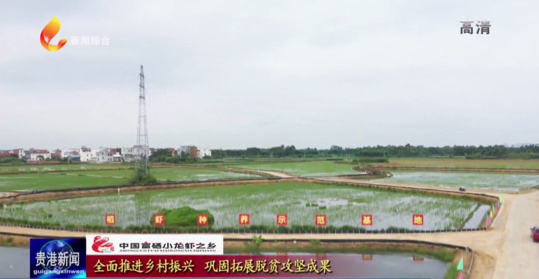 中国大米富硒之乡(富硒大米之乡)-硒宝网