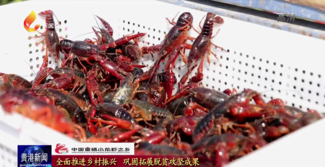 中国大米富硒之乡(富硒大米之乡)-硒宝网