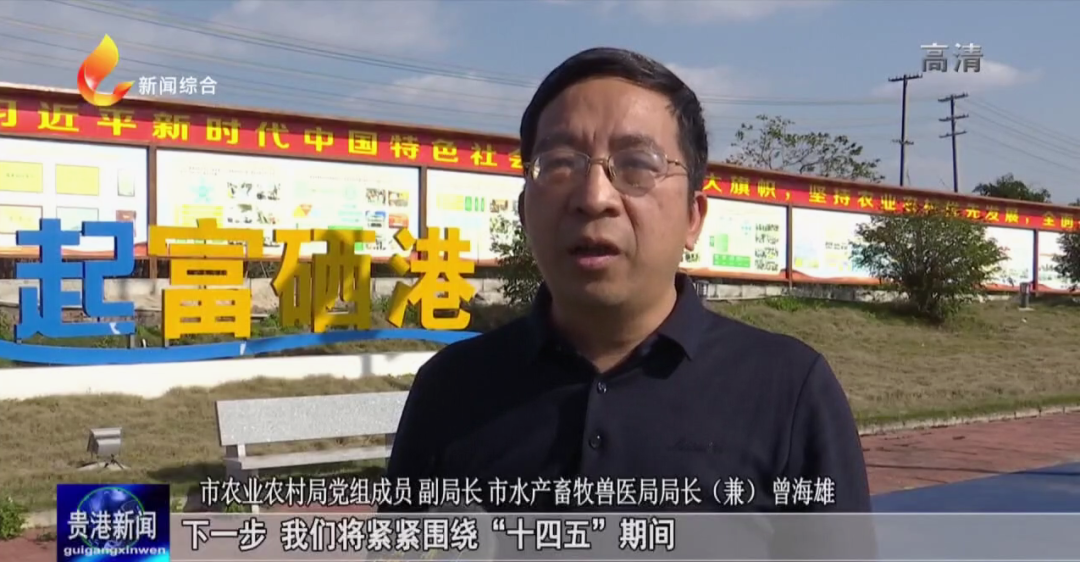 中国大米富硒之乡(富硒大米之乡)-硒宝网