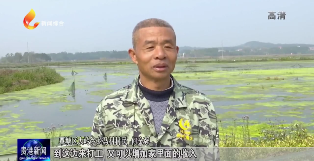 中国大米富硒之乡(富硒大米之乡)-硒宝网