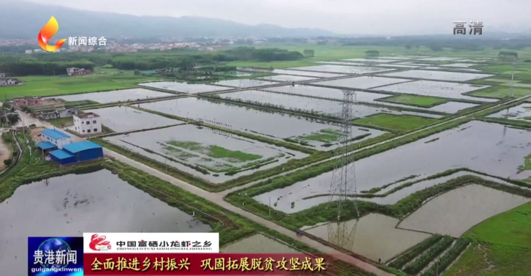 中国大米富硒之乡(富硒大米之乡)-硒宝网