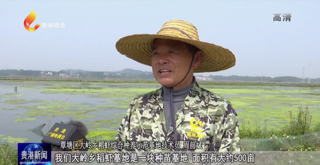 中国大米富硒之乡(富硒大米之乡)-硒宝网