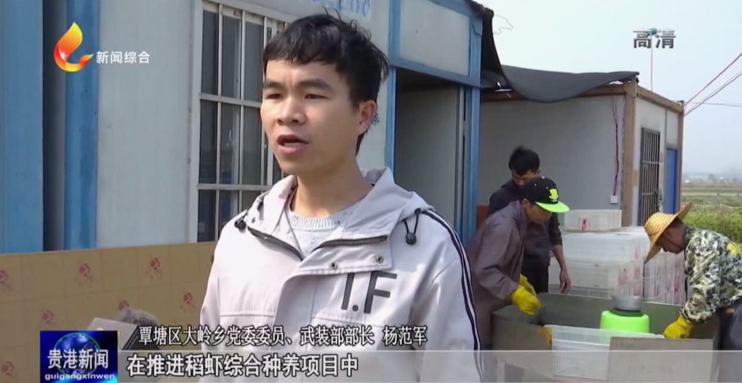 中国大米富硒之乡(富硒大米之乡)-硒宝网