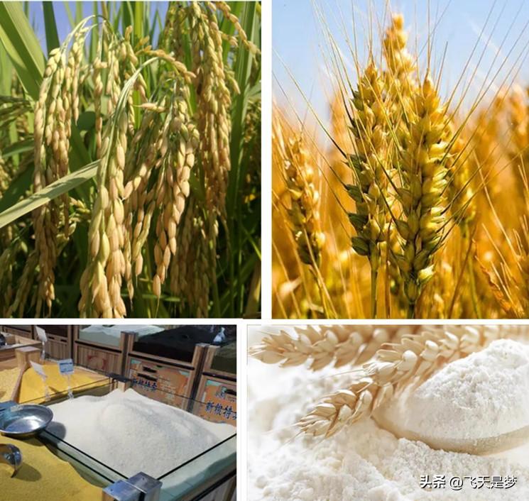 富硒大米有假的吗(富硒大米如何鉴别)-硒宝网