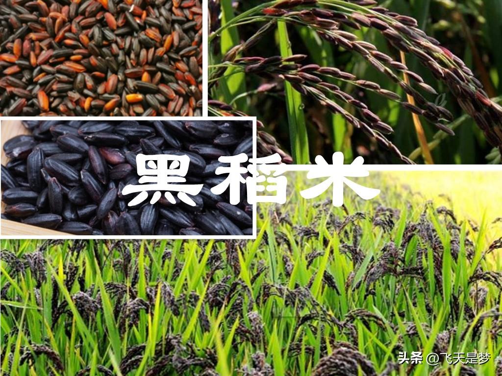 富硒大米有假的吗(富硒大米如何鉴别)-硒宝网