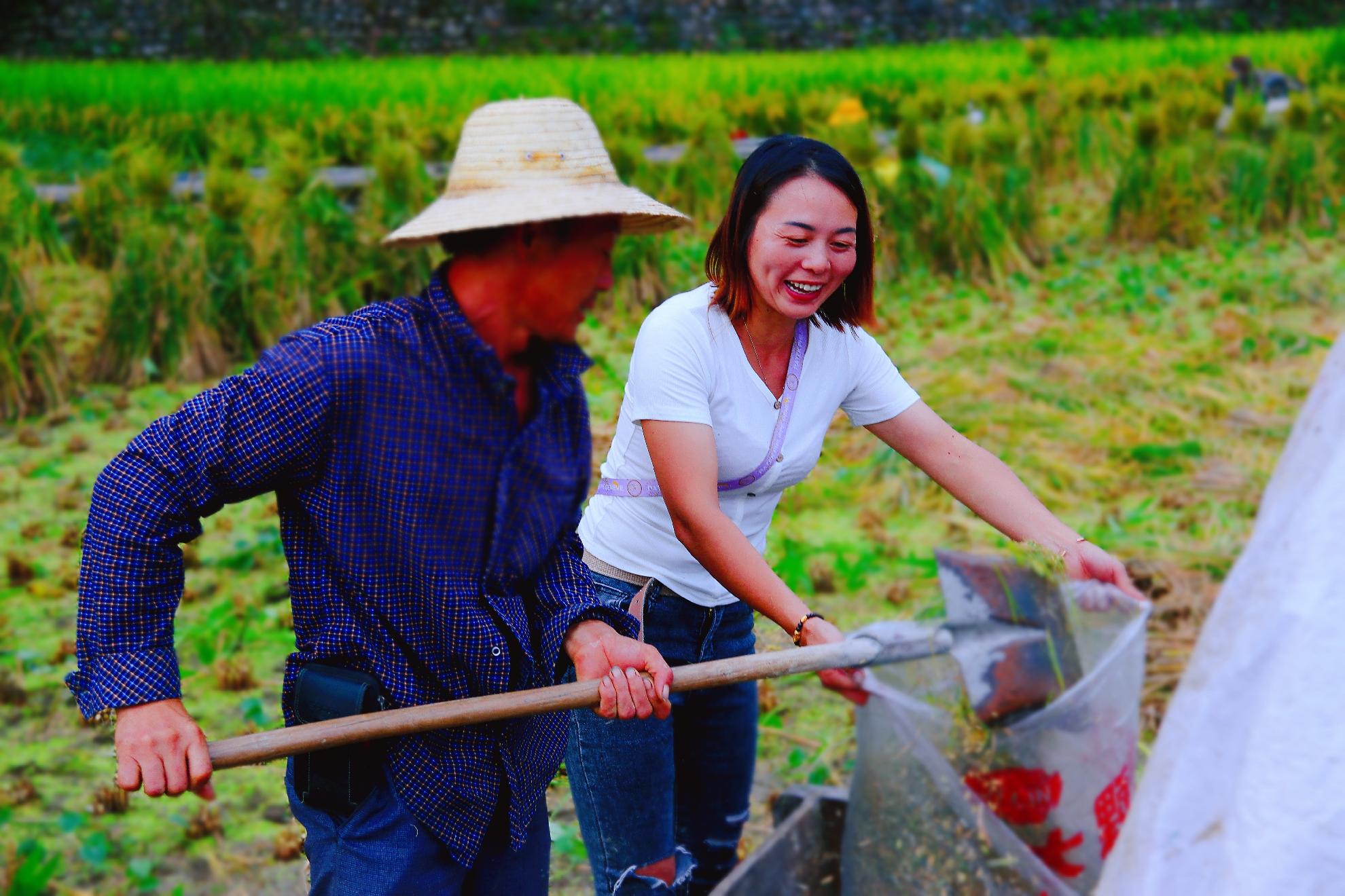 富硒大米之乡留庄(富硒大米基地)-硒宝网