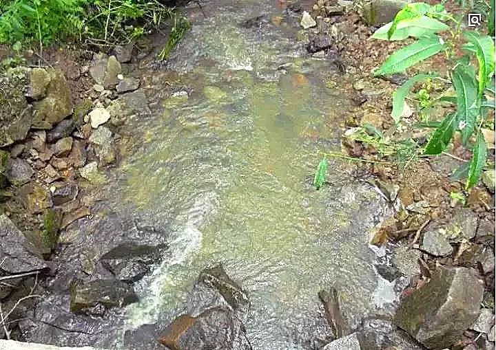 中国大米富硒之乡（富硒大米市场分析）-硒宝网