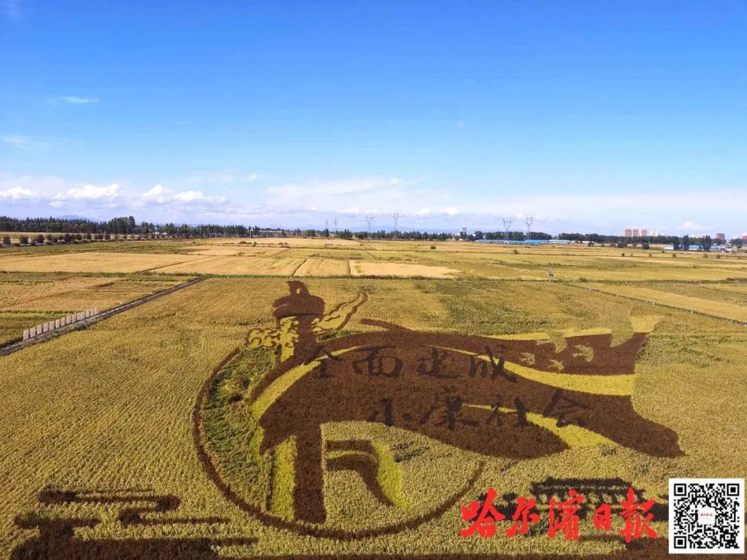 秋然方正富硒大米(方正富硒大米好吗)-硒宝网