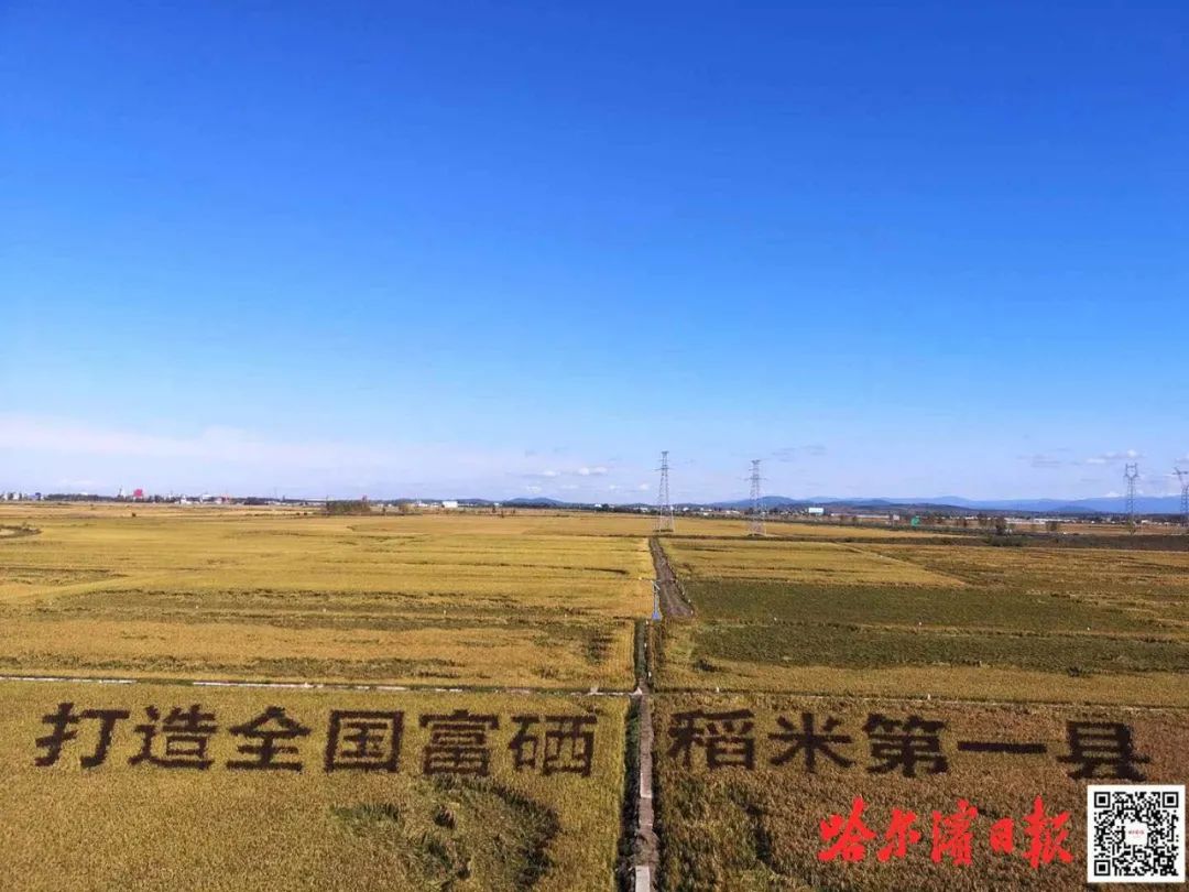 秋然方正富硒大米(方正富硒大米好吗)-硒宝网