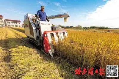 秋然方正富硒大米(方正富硒大米好吗)-硒宝网