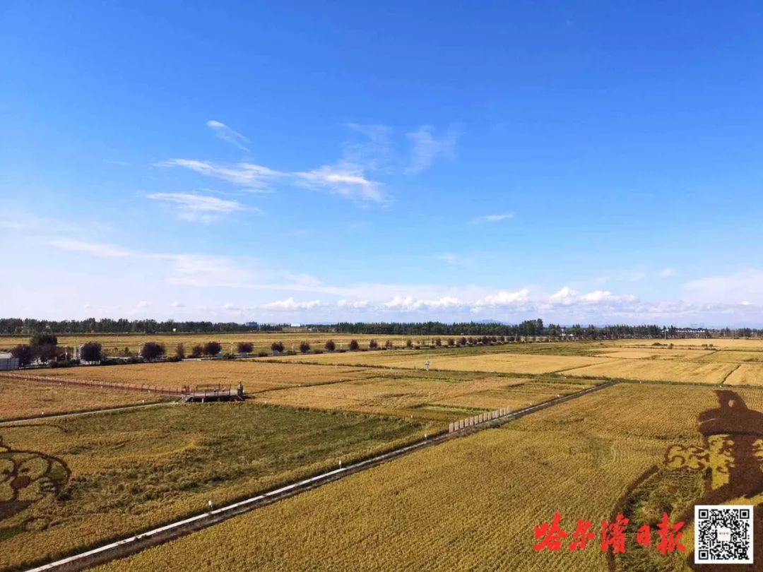 秋然方正富硒大米(方正富硒大米好吗)-硒宝网