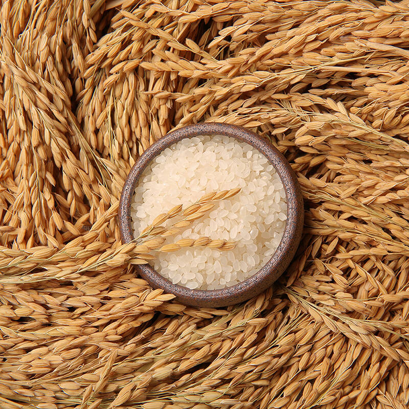 富硒天然东北大米（中国三大天然富硒大米产地）-硒宝网