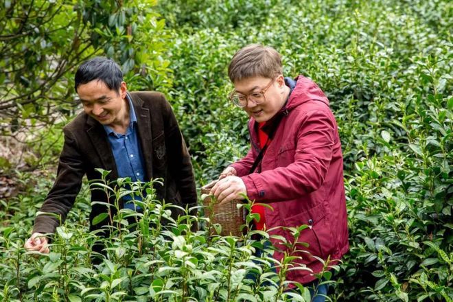 临安昌化富硒大米(万安富硒大米)-硒宝网