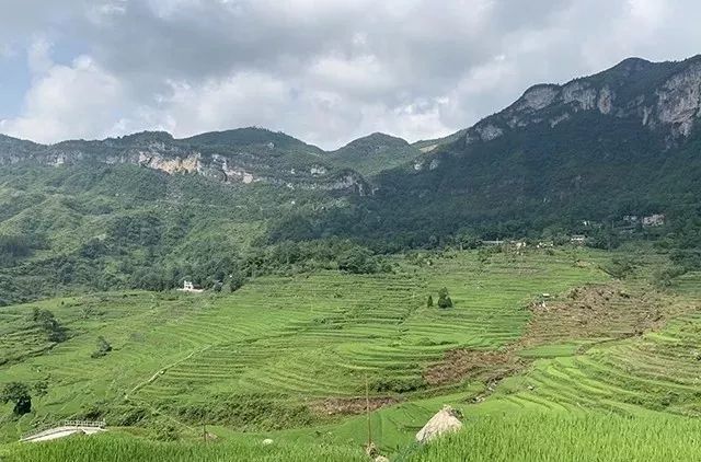 重庆富硒大米价格(富硒大米批发)-硒宝网