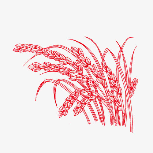 富硒大米设计说明(大米的富硒标准)-硒宝网