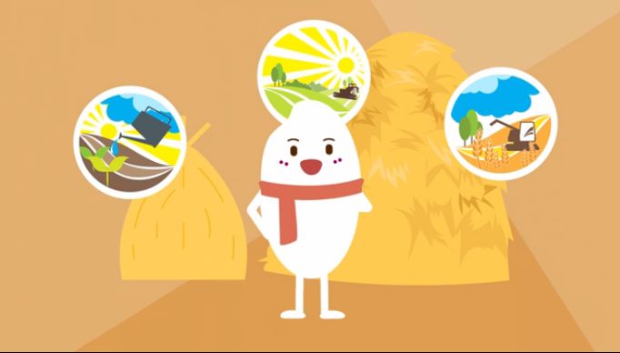 铜山富硒大米价格（最好的富硒大米多少钱一斤）-硒宝网