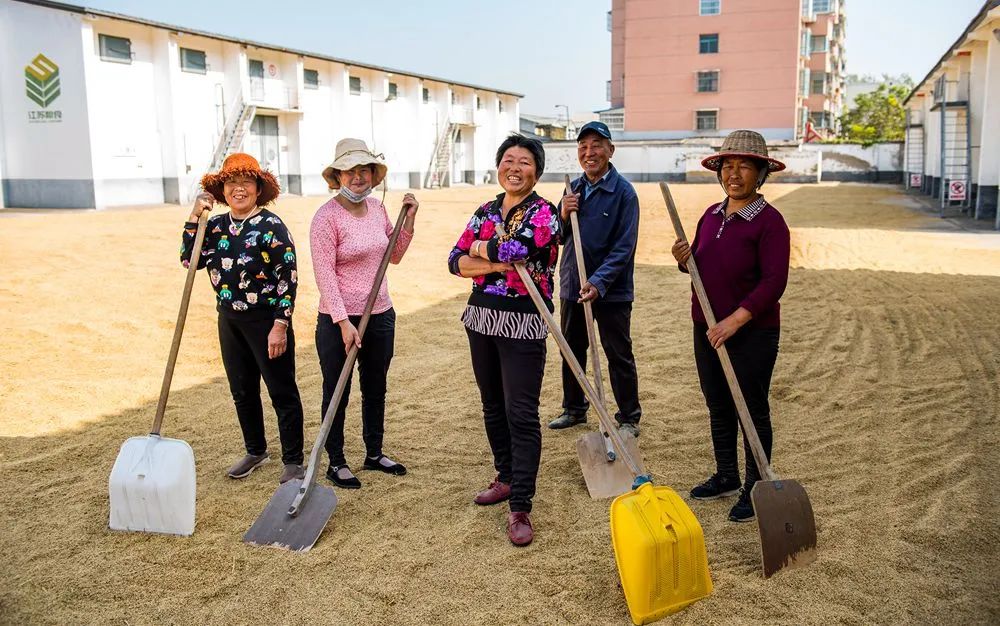 铜山富硒大米价格（最好的富硒大米多少钱一斤）-硒宝网