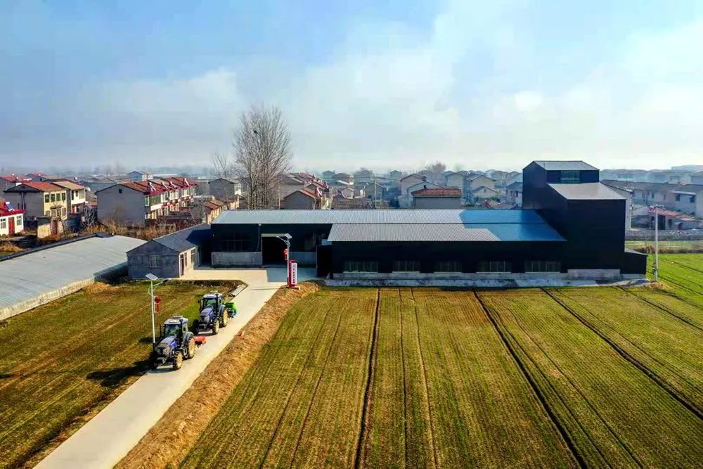 铜山富硒大米价格（最好的富硒大米多少钱一斤）-硒宝网