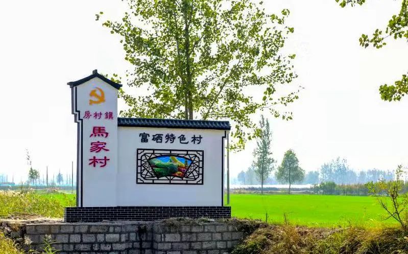 铜山富硒大米价格（最好的富硒大米多少钱一斤）-硒宝网