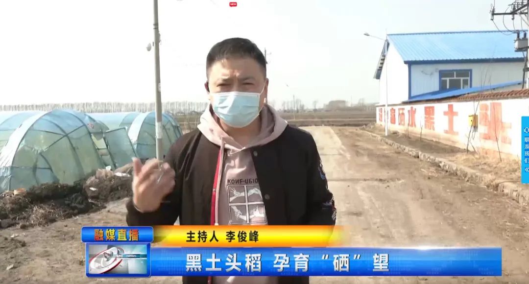 富硒大米哪家有名(富硒大米含量最高的有多少)-硒宝网