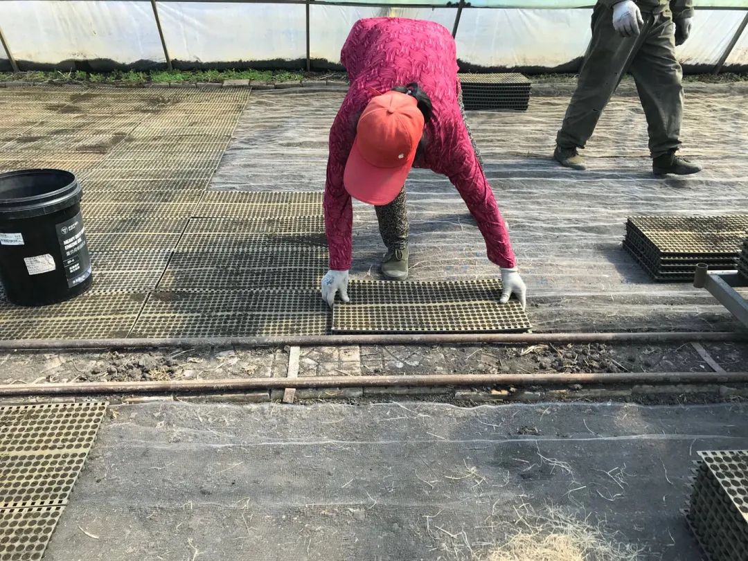 富硒大米哪家有名(富硒大米含量最高的有多少)-硒宝网