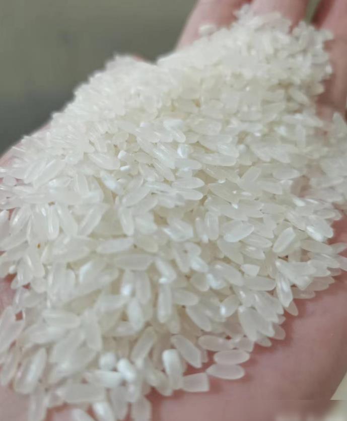 富硒大米哪里靠谱(富硒优质大米)-硒宝网