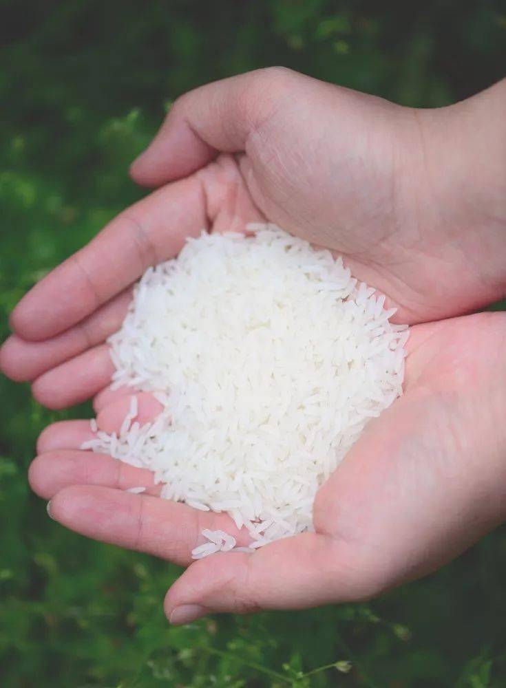 淄博富硒大米价格(富硒大米哪里有卖)-硒宝网