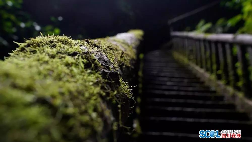 僰王山 富硒大米(富硒大米视频功效)-硒宝网