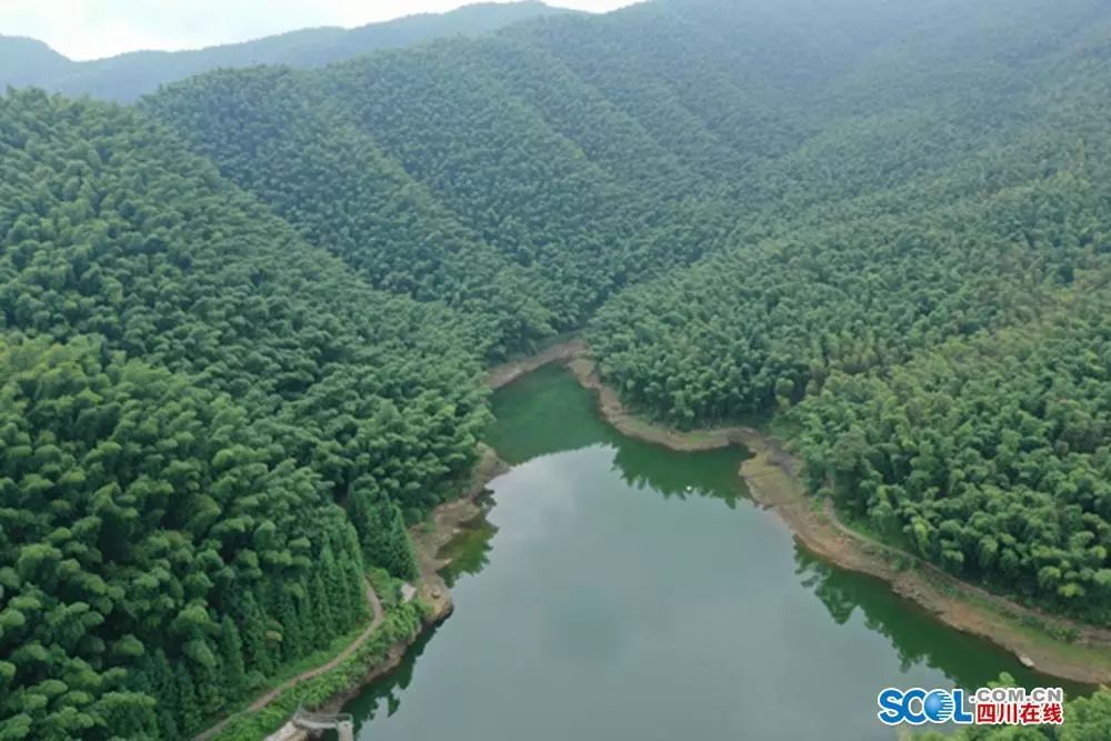 僰王山 富硒大米(富硒大米视频功效)-硒宝网