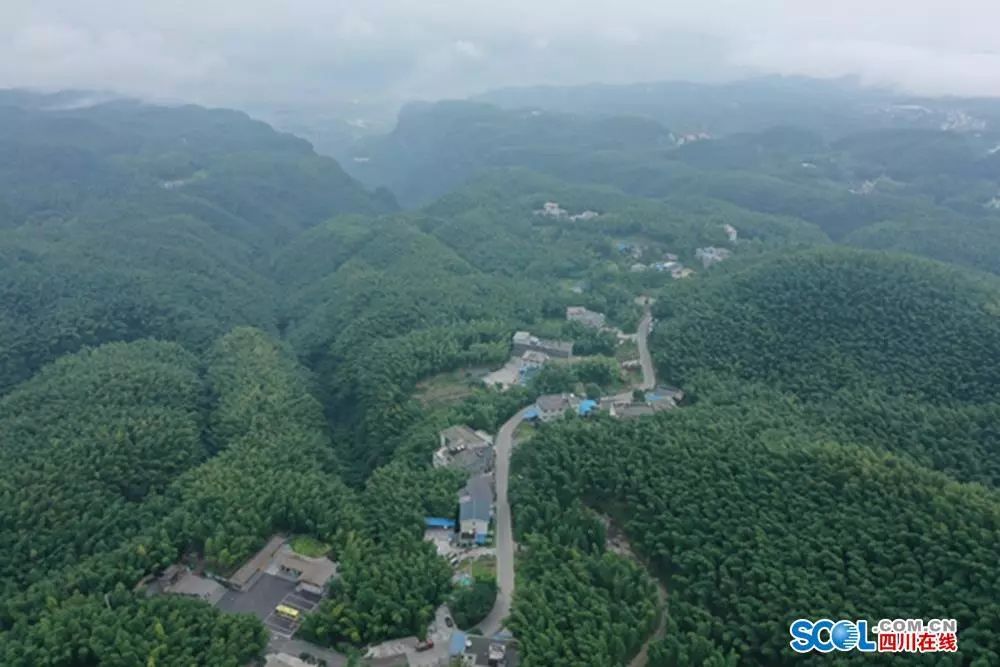 僰王山 富硒大米(富硒大米视频功效)-硒宝网