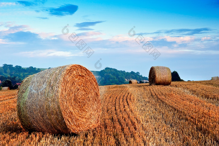 富硒大米网络营销(大米营销富硒网络营销策略)-硒宝网