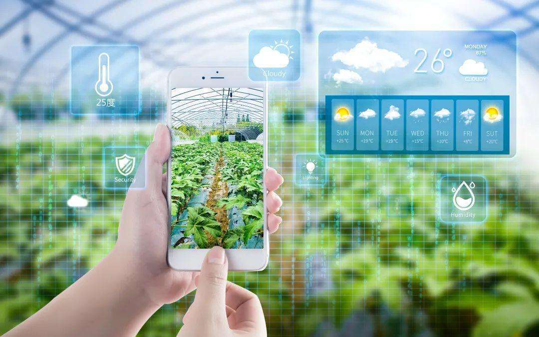 重庆富硒大米市?。ㄖ厍旄晃覆郑?硒宝网