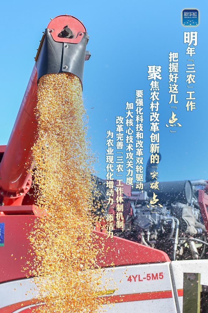 重庆富硒大米市?。ㄖ厍旄晃覆郑?硒宝网