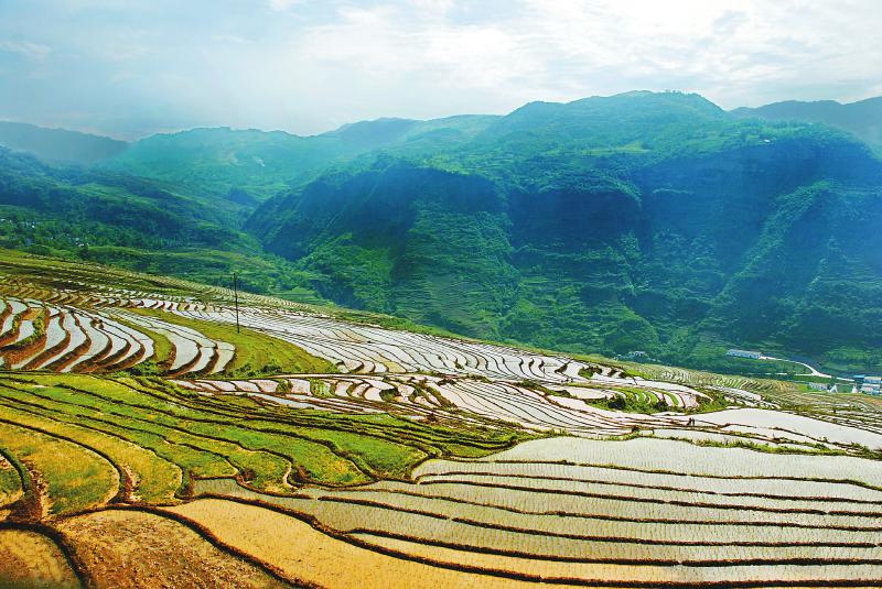 重庆富硒大米市?。ㄖ厍旄晃覆郑?硒宝网