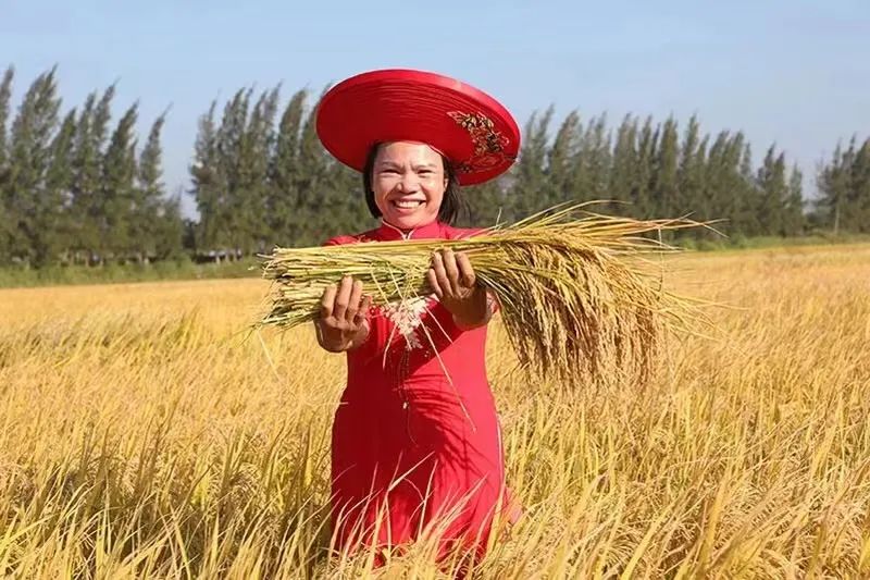 福珍富硒大米基地(珍品富硒大米)-硒宝网