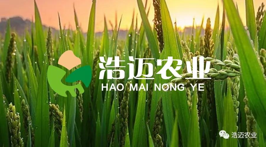 富硒大米胚芽鲜米(富有机硒胚芽米)-硒宝网