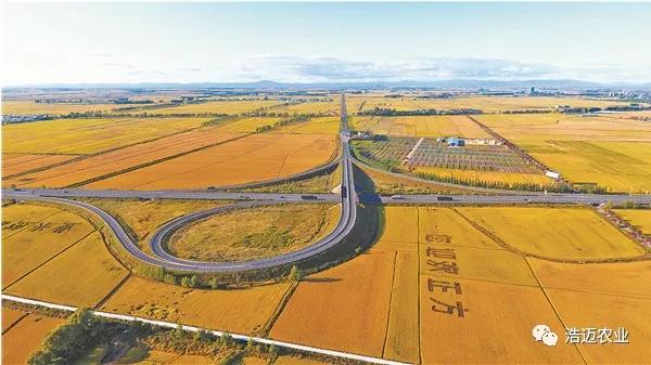 富硒大米胚芽鲜米(富有机硒胚芽米)-硒宝网