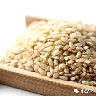 富硒大米胚芽鲜米(富有机硒胚芽米)-硒宝网