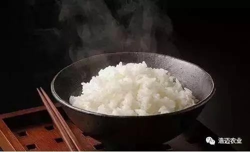 富硒大米胚芽鲜米(富有机硒胚芽米)-硒宝网