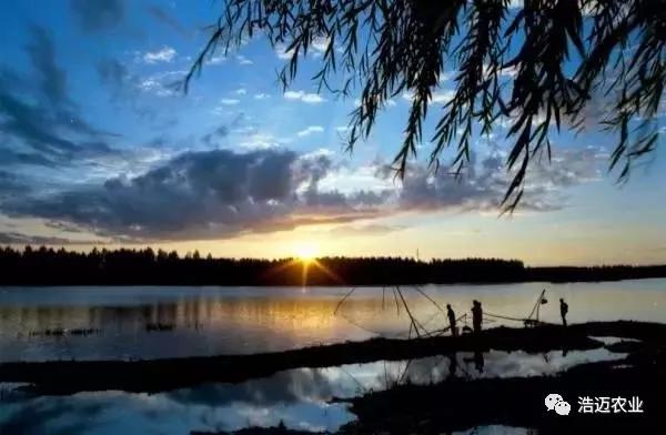 富硒大米胚芽鲜米(富有机硒胚芽米)-硒宝网