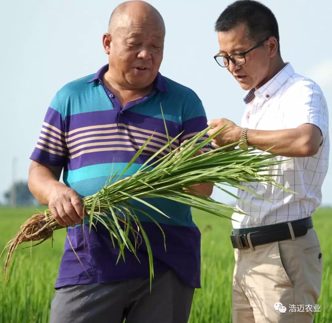富硒大米胚芽鲜米(富有机硒胚芽米)-硒宝网