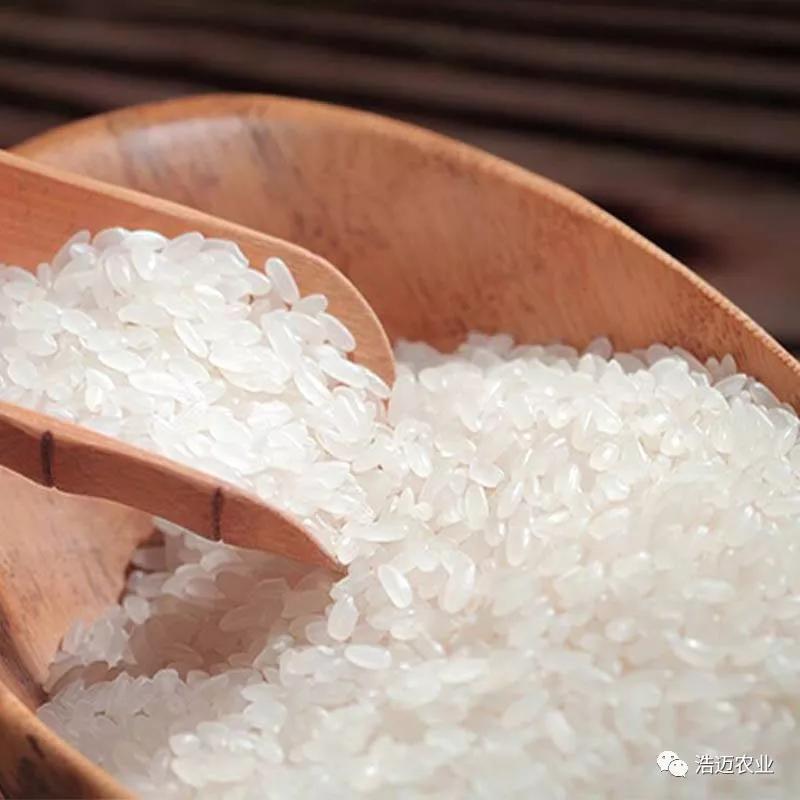 富硒大米胚芽鲜米(富有机硒胚芽米)-硒宝网