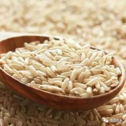 富硒大米胚芽鲜米(富有机硒胚芽米)-硒宝网