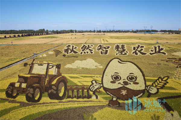 去郧县领富硒大米（富硒大米好在哪）-硒宝网