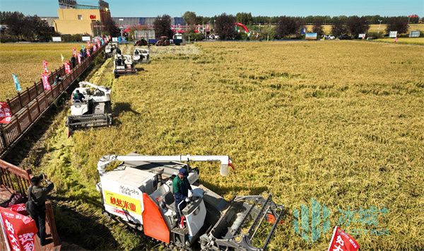 去郧县领富硒大米（富硒大米好在哪）-硒宝网