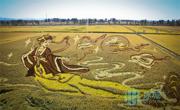 去郧县领富硒大米（富硒大米好在哪）-硒宝网