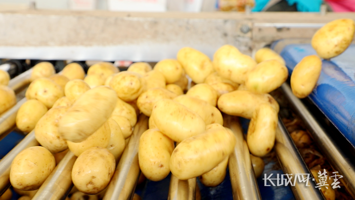 康恩农业富硒大米(富硒大米骗局)-硒宝网